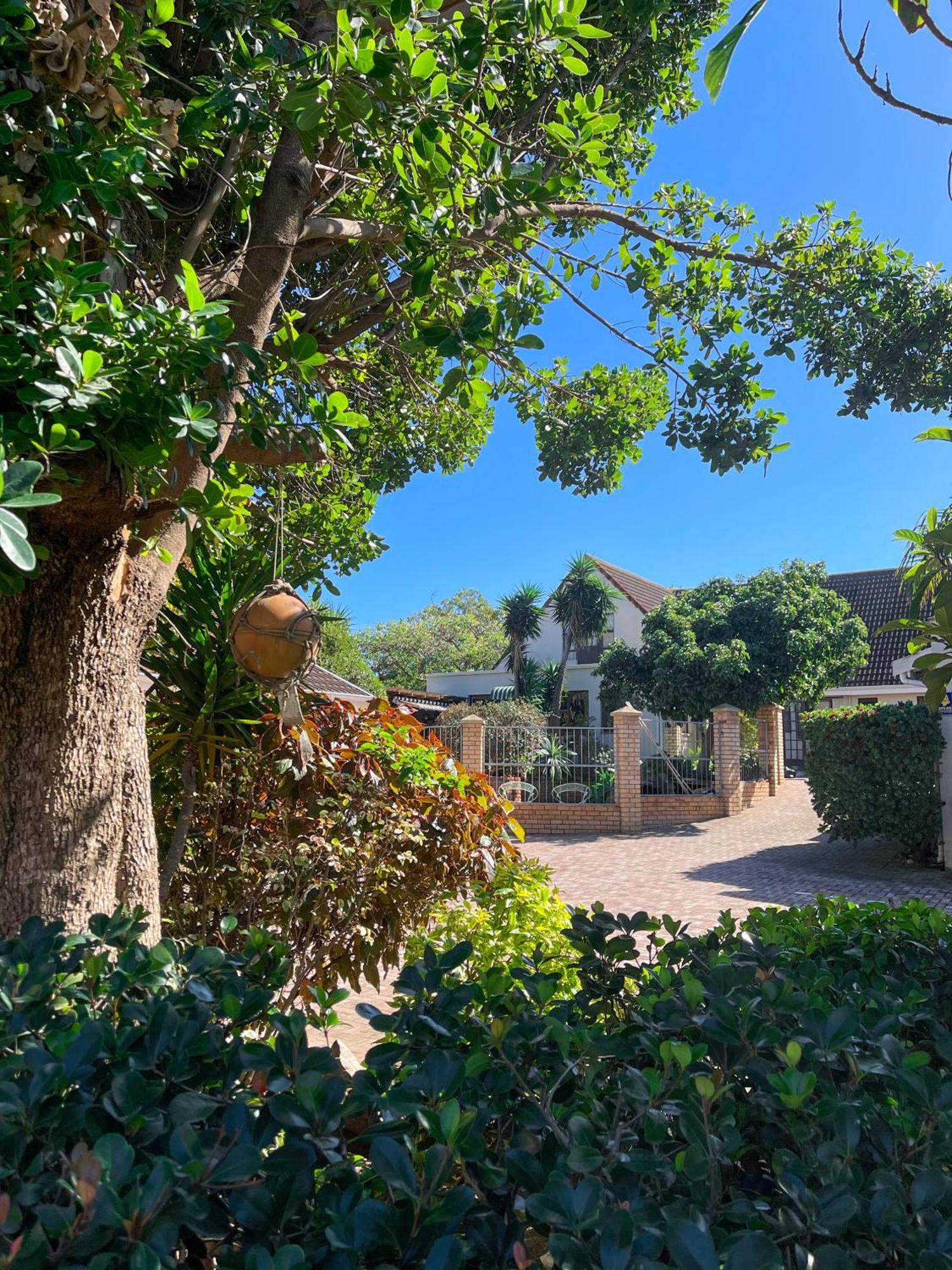 Albert Road Garden Guest House Port Elizabeth Eksteriør bilde