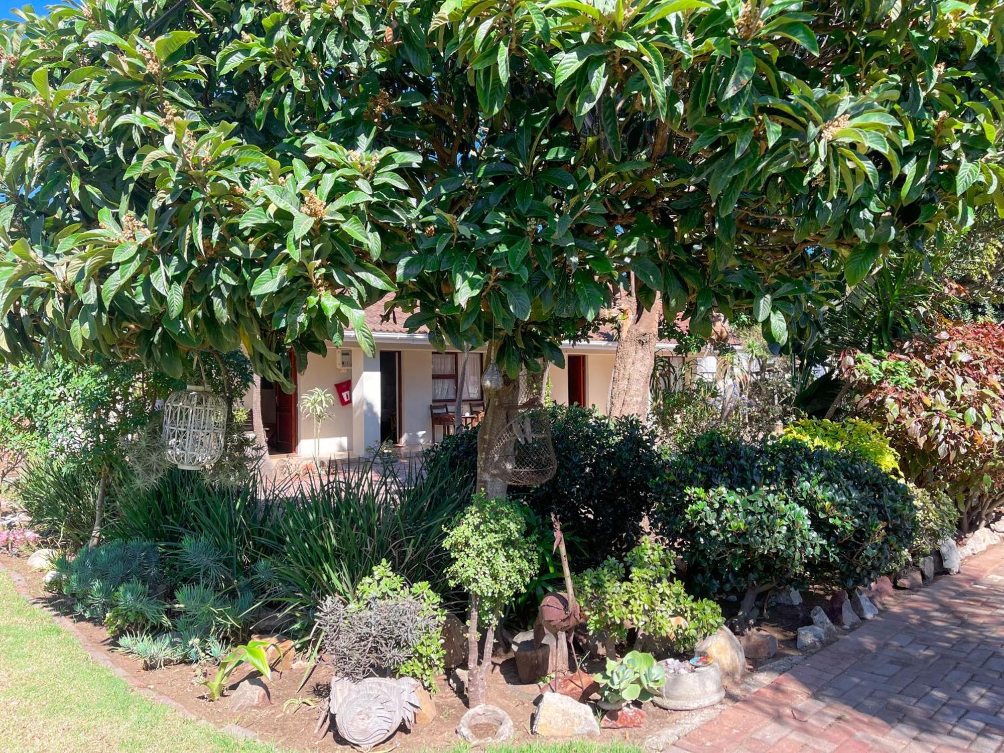 Albert Road Garden Guest House Port Elizabeth Eksteriør bilde