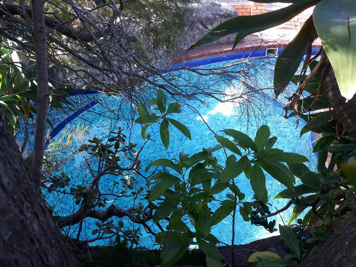 Albert Road Garden Guest House Port Elizabeth Eksteriør bilde