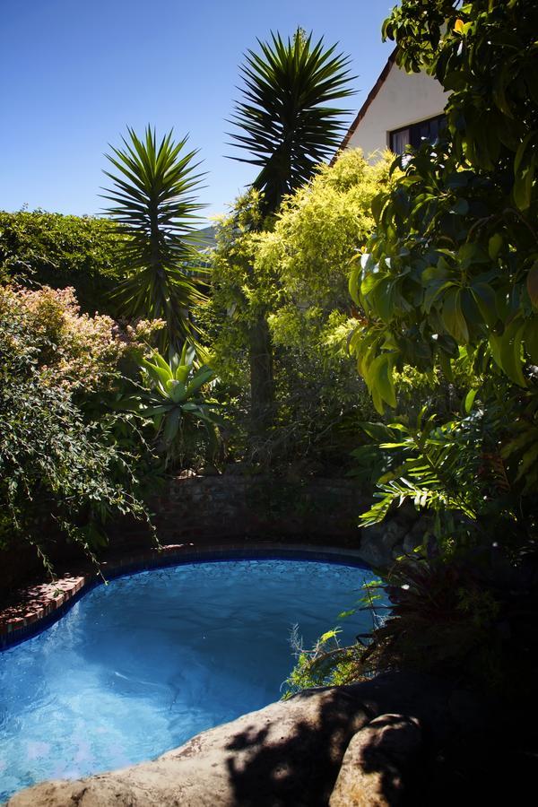 Albert Road Garden Guest House Port Elizabeth Eksteriør bilde